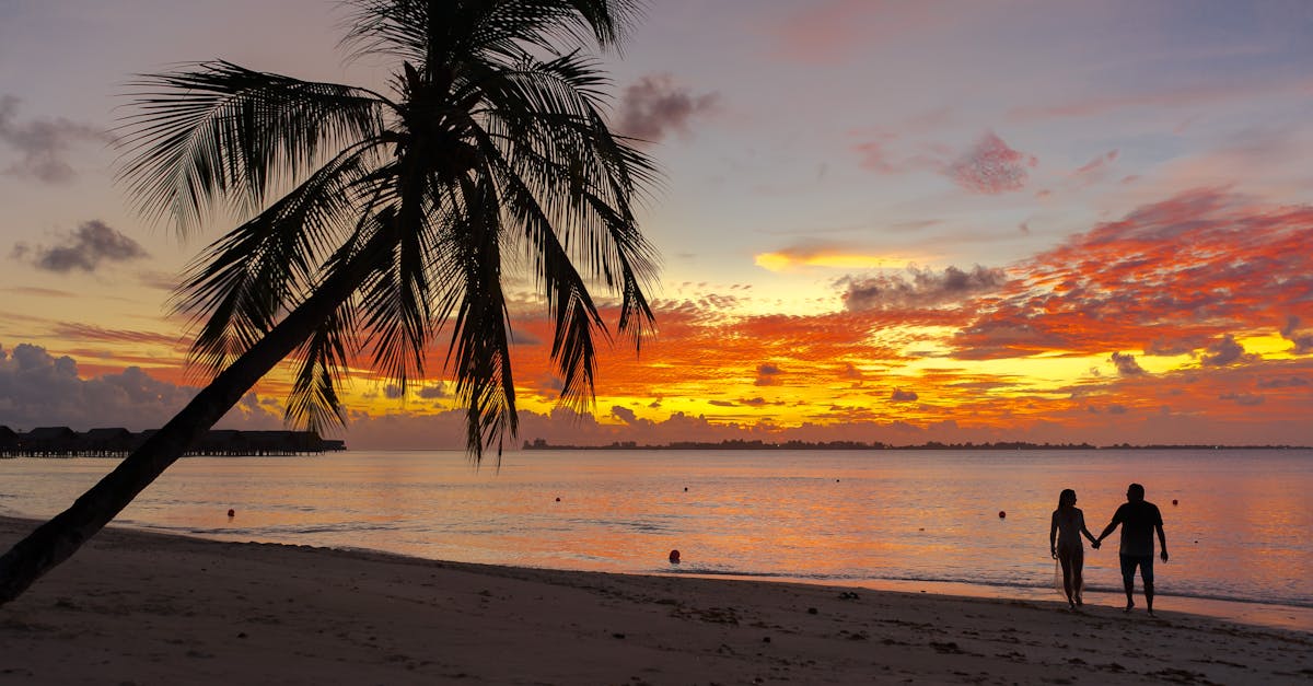 découvrez des destinations paradisiaques pour votre lune de miel, où amour et aventure se rencontrent. offrez-vous des moments inoubliables dans des cadres romantiques et émerveillez-vous avec des expériences sur mesure adaptées à vos rêves.
