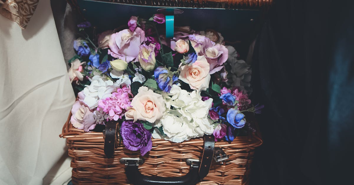 découvrez l'univers enchanteur des hydrangeas, ces fleurs majestueuses aux couleurs vibrantes qui embellissent les jardins et les intérieurs. apprenez à les cultiver, les entretenir et à choisir les variétés idéales pour votre espace, tout en profitant de leurs bienfaits décoratifs et apaisants.