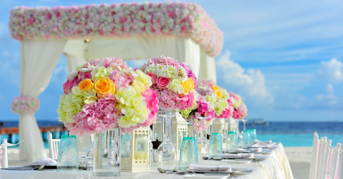 découvrez l'univers enchanteur des hortensias, ces fleurs magnifiques qui illuminent vos jardins et balcons. apprenez tout sur leur culture, variétés et astuces d'entretien pour profiter pleinement de leur beauté tout au long de l'année.