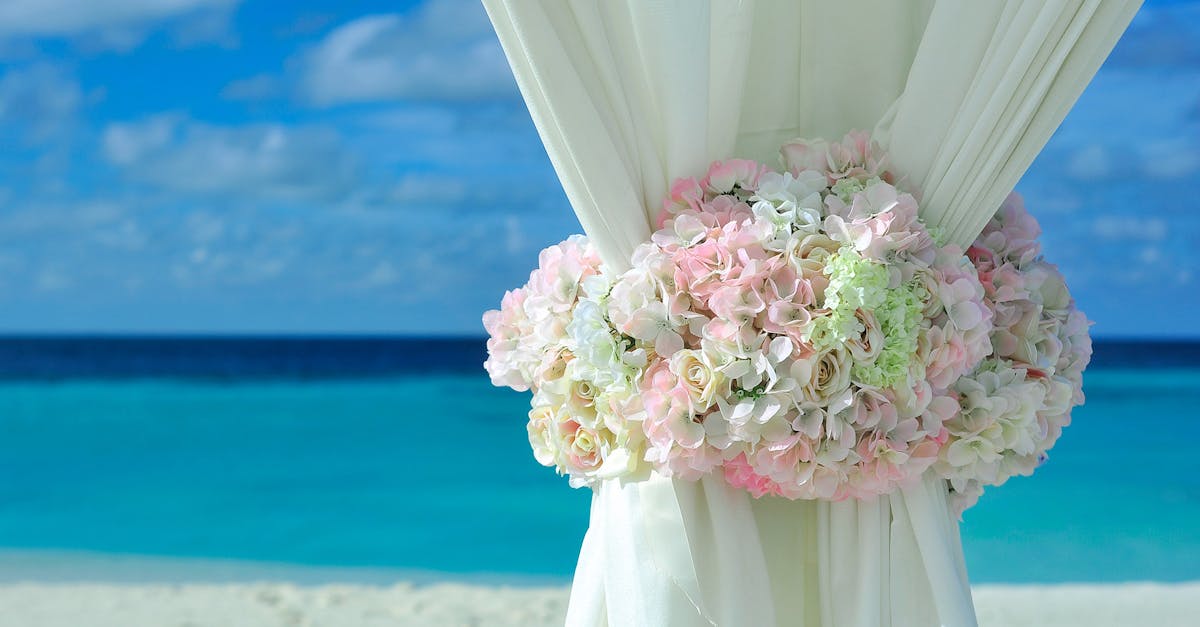 découvrez la beauté des hydrangeas, des fleurs majestueuses aux couleurs éclatantes qui embellissent vos jardins. apprenez à les cultiver et les entretenir pour profiter de leur floraison spectaculaire tout au long de l'année.