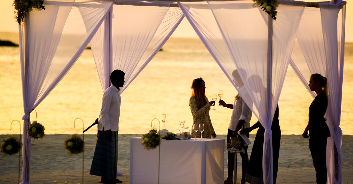 découvrez des idées inspirantes pour vos tenues de mariage en tant qu'invité : élégance, confort et tendances pour briller à chaque cérémonie. trouvez la tenue parfaite pour célébrer ce jour mémorable !