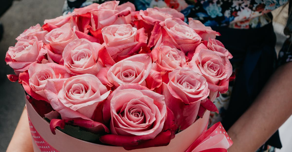 découvrez des idées inspirantes pour rendre votre mariage inoubliable. des thèmes uniques, des décorations créatives et des conseils pratiques pour célébrer votre amour avec style.