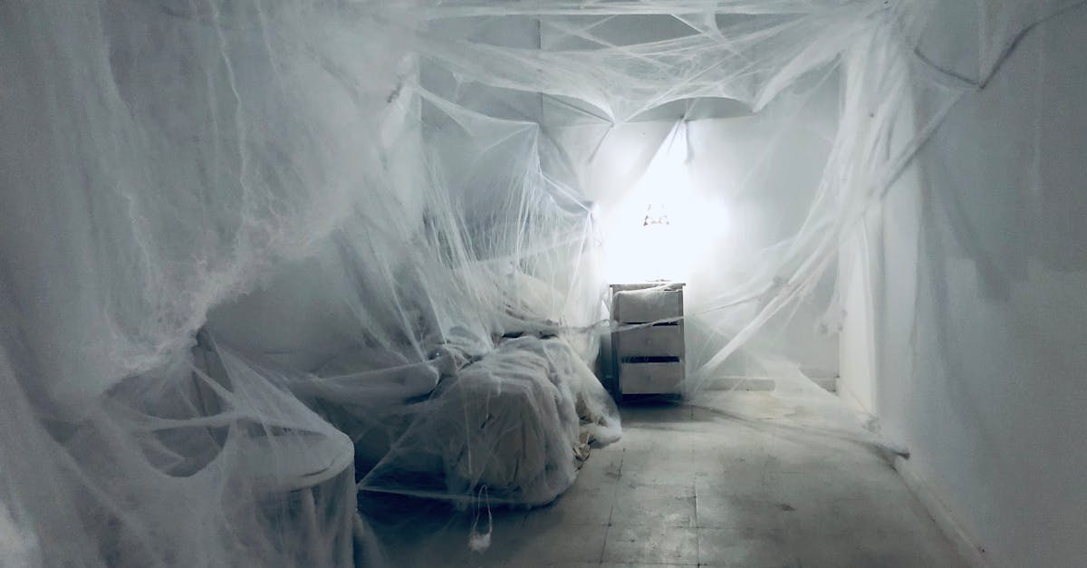 découvrez nos idées et accessoires pour une décoration d'halloween effrayante et originale. transformez votre maison avec des décorations incontournables et créez une ambiance magique pour petits et grands.