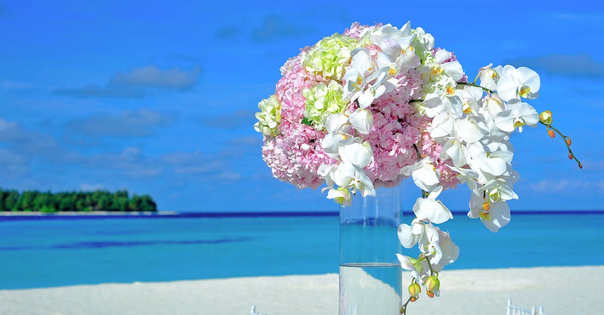 découvrez des idées créatives et élégantes pour décorer les chaises de votre mariage. créez une ambiance unique grâce à des décorations sur mesure qui reflètent votre style et votre thème, pour un jour inoubliable.