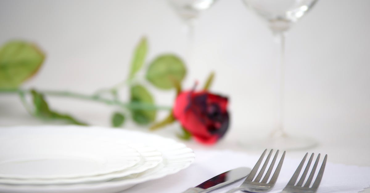 découvrez nos conseils pour planifier le repas de votre mariage. des idées de menus aux astuces pour gérer les allergies alimentaires, assurez-vous que votre banquet soit mémorable et adapté à tous vos invités. transformez votre réception en une expérience culinaire inoubliable!