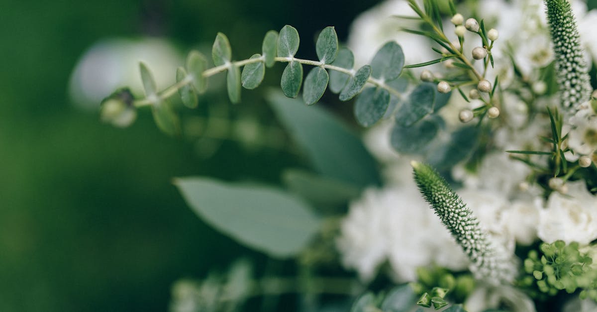 découvrez des conseils essentiels pour choisir la bague de mariage parfaite. que vous préfériez un style classique ou moderne, nos astuces vous guideront dans cette décision importante.