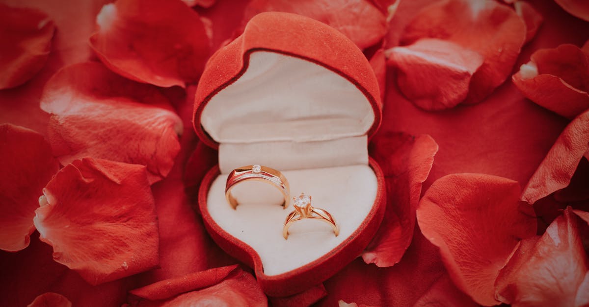 découvrez notre collection de bagues de mariage élégantes et intemporelles. trouvez la parfaite alliance qui symbolisera votre amour éternel. styles variés, matériaux haut de gamme et finitions artisanales pour un jour inoubliable.