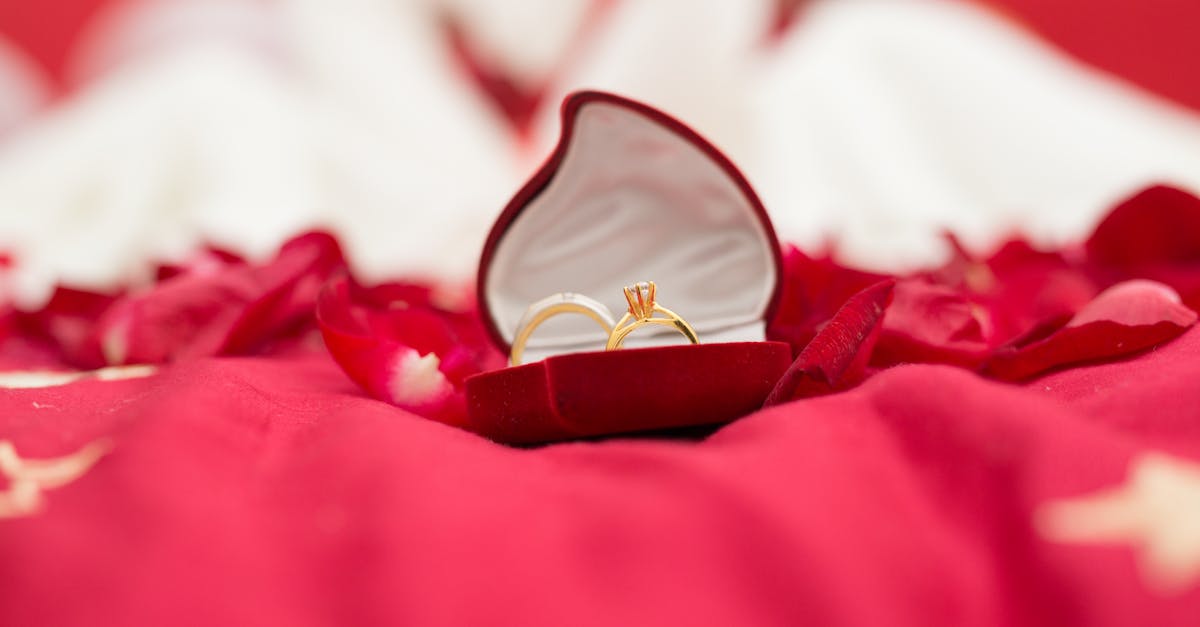 découvrez des idées de cadeaux de mariage uniques et élégants pour célébrer les mariées et marquer ce moment spécial. trouvez le présent parfait qui fera plaisir à coup sûr.