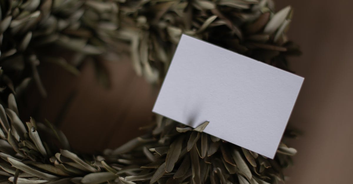 organisez un mariage éco-responsable grâce à nos conseils et idées pour une célébration écologique, élégante et respectueuse de l'environnement. découvrez comment réduire votre impact tout en créant un moment inoubliable !