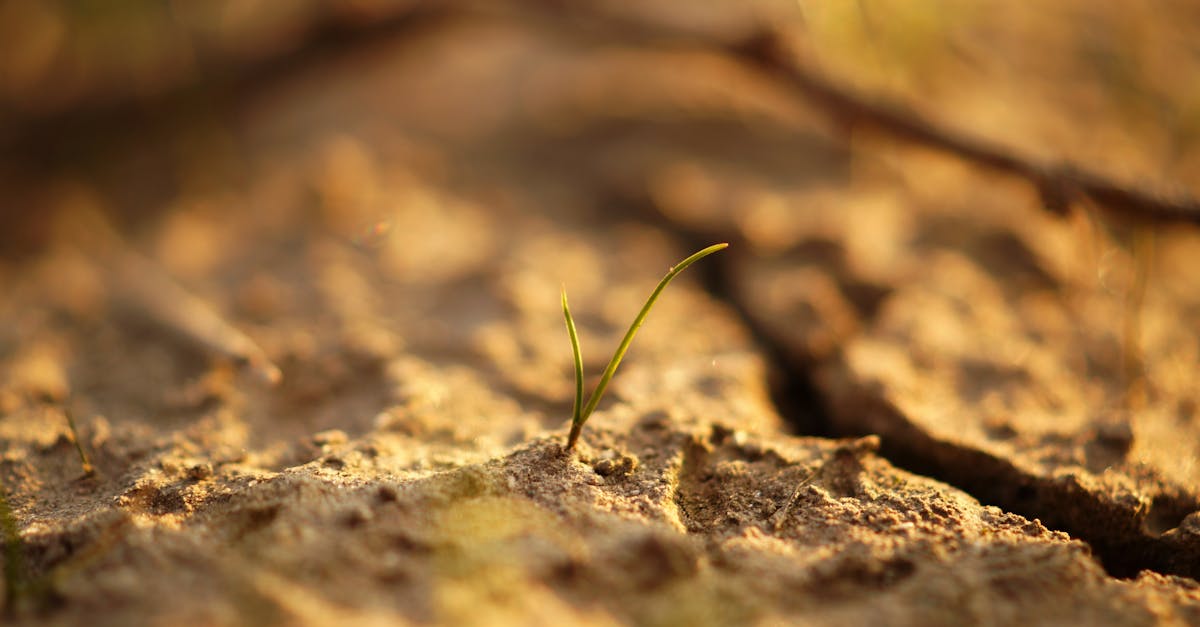 découvrez tout ce qu’il faut savoir sur la fertilité : causes, conseils, solutions naturelles et traitements pour favoriser la conception. informez-vous pour mieux comprendre et optimiser vos chances de grossesse.