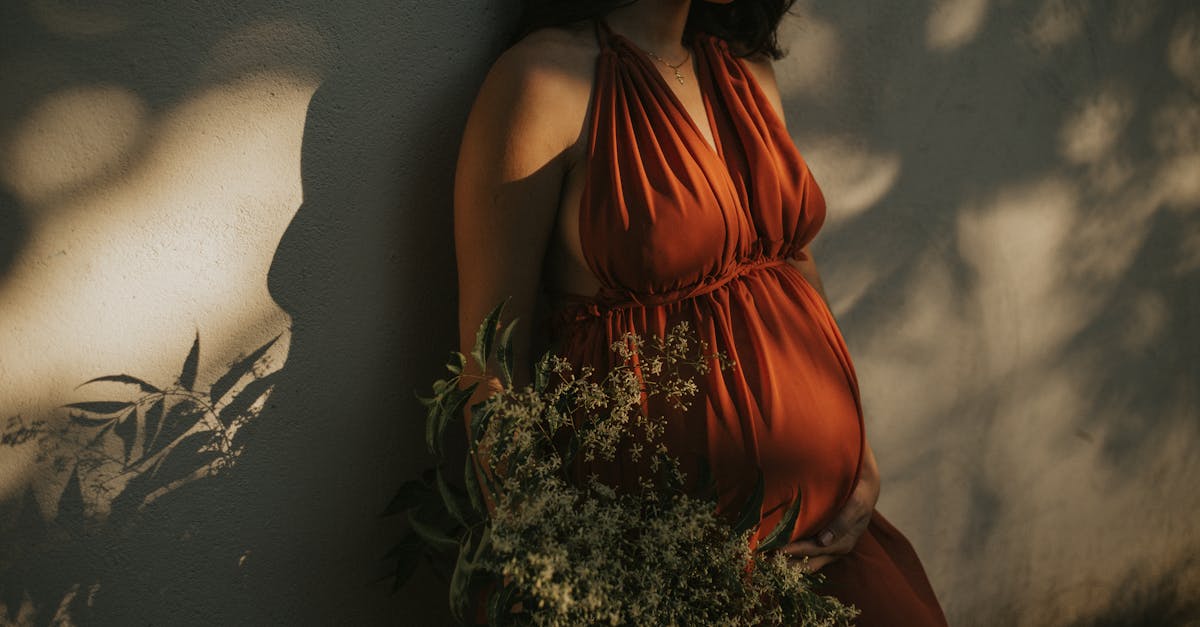 découvrez tout ce qu'il faut savoir sur la grossesse : symptômes, étapes clés, conseils pour le bien-être de la future maman et développement du bébé, du début de la grossesse à l'accouchement.