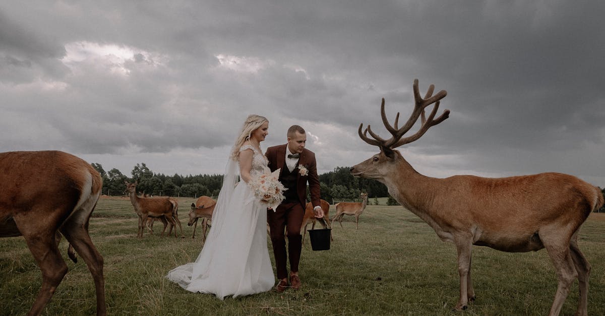 découvrez notre collection de robes de mariée style champêtre, idéales pour un mariage à la campagne : coupes fluides, tissus naturels et détails bohèmes pour un look romantique et authentique.