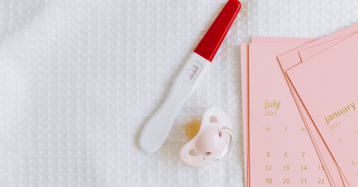 découvrez tout ce qu'il faut savoir sur les tests de grossesse : fonctionnement, conseils d'utilisation, fiabilité et interprétation des résultats pour répondre à toutes vos questions.