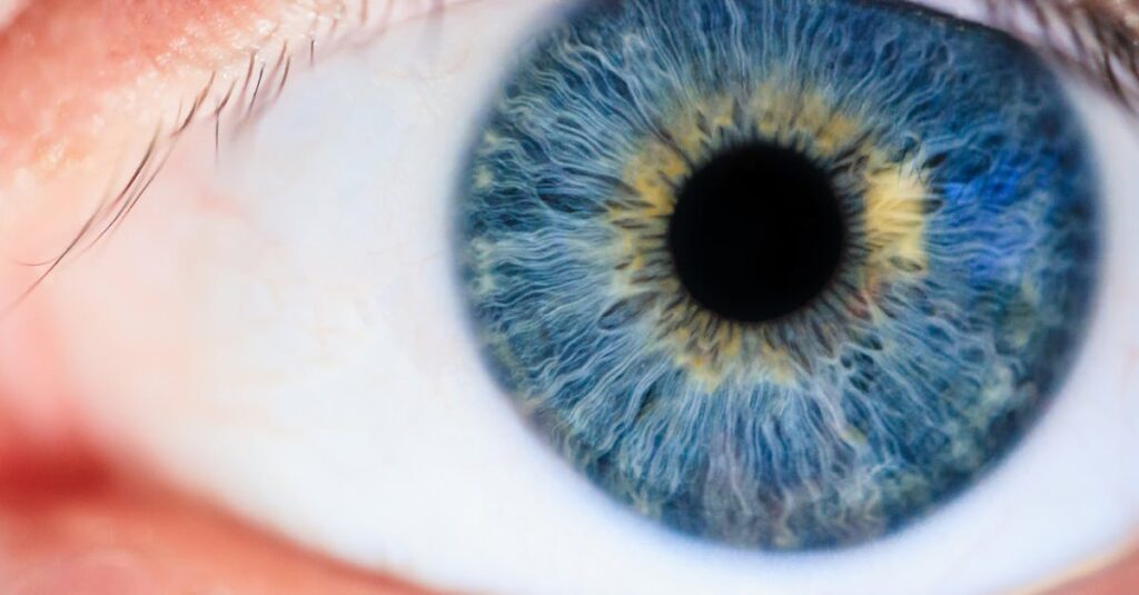 découvrez ce qu'est la dilatation rénale, ses causes, symptômes et traitements. informez-vous sur les examens diagnostiques et la prise en charge de cette pathologie rénale.
