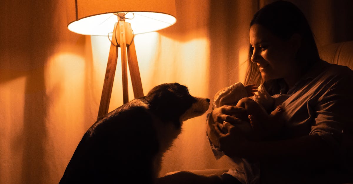 découvrez comment choisir le prénom parfait pour votre bébé avec nos conseils pratiques et idées inspirantes.