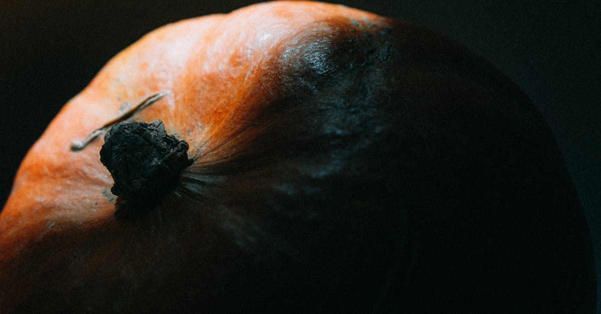 découvrez des idées d'éclairage effrayant et festif pour halloween afin de transformer votre maison en véritable maison hantée.