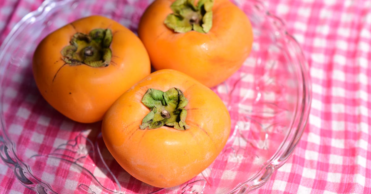 découvrez une alimentation équilibrée et adaptée pour une grossesse saine. conseils nutritionnels essentiels pour le bien-être de la maman et du bébé.