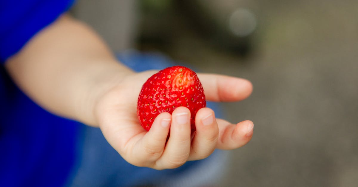 découvrez les conseils essentiels pour une alimentation équilibrée pendant la grossesse afin de soutenir votre santé et le développement de votre bébé.