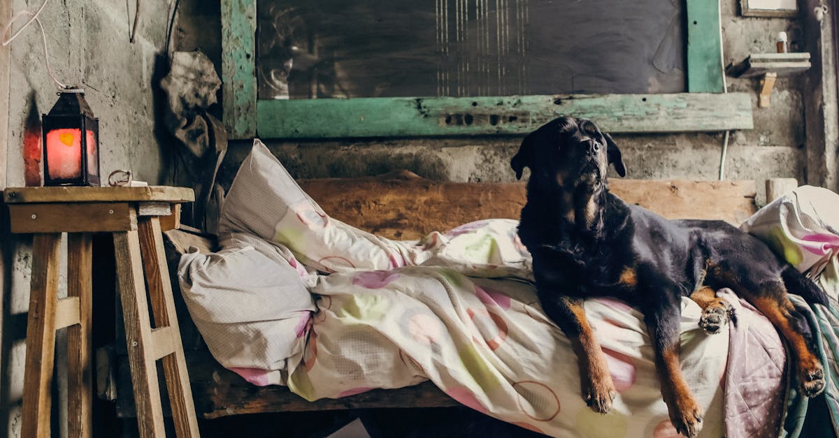 découvrez les défis du sommeil pendant la grossesse et nos conseils pour mieux dormir malgré les changements corporels et les inconforts.