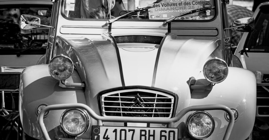 découvrez les causes, symptômes et traitements de l'incompatibilité rh, une condition importante lors de la grossesse pour assurer la santé de la mère et du bébé.