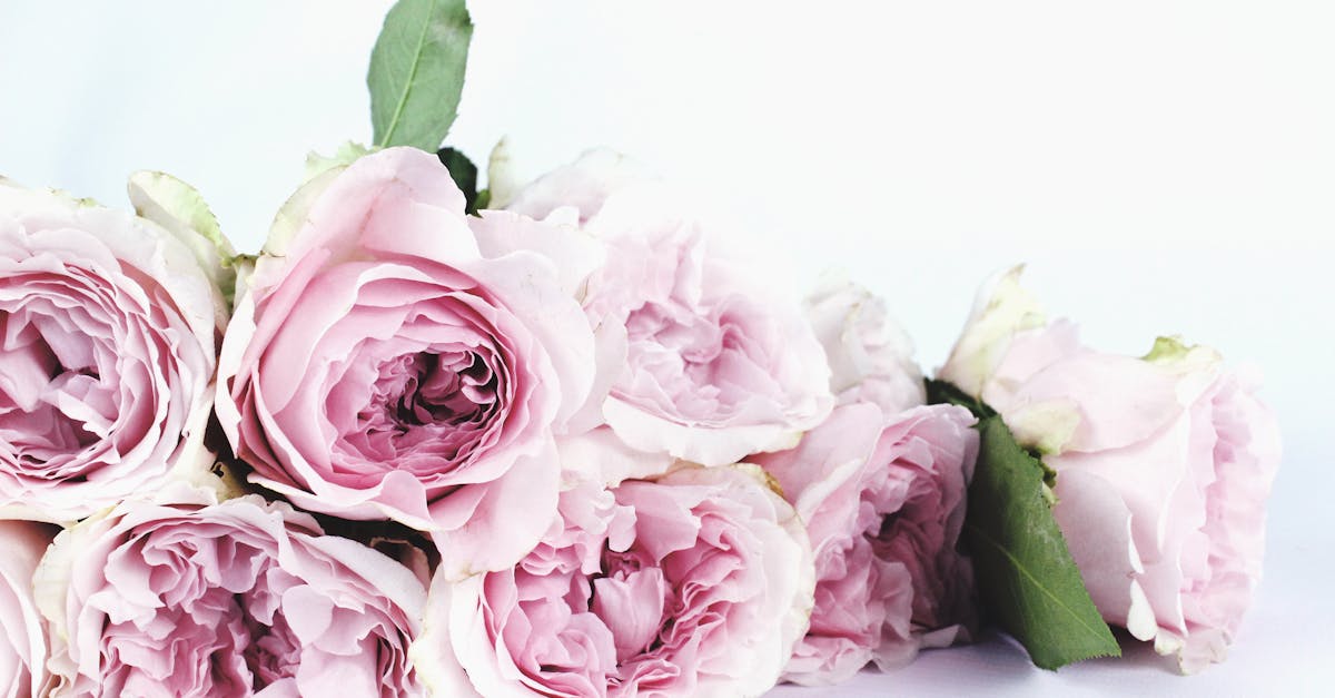 découvrez des idées de décoration de mariage élégantes et économiques pour créer une ambiance magique sans dépasser votre budget.