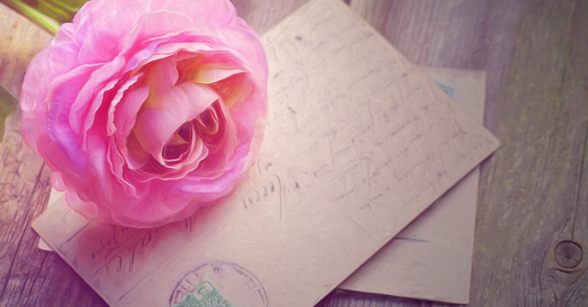 découvrez des idées élégantes et inspirantes pour la décoration de table de mariage, alliant charme et raffinement pour une célébration inoubliable.