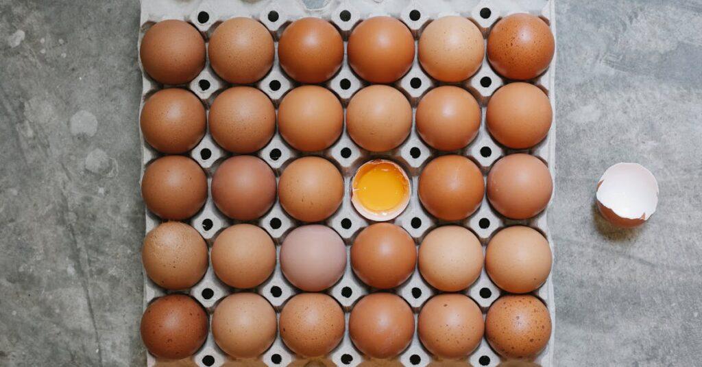 Première grossesse : comprendre l’œuf clair et les options de traitement médicamenteux découvrez ce qu'est un ovule flétri (blighted ovum), ses causes, symptômes et options de traitement pour mieux comprendre cette complication de la grossesse.