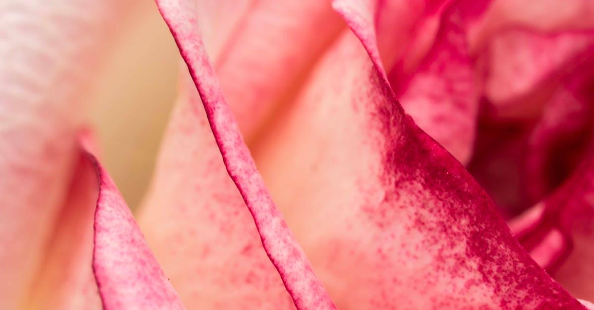 organisez votre mariage sans stress grâce à notre guide complet pour gérer efficacement votre budget mariage.